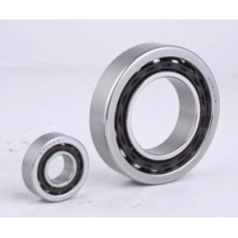 Stainless Steel Angular Contact Ball Bearing (SS7000C, SS7200C, SS7300C)
